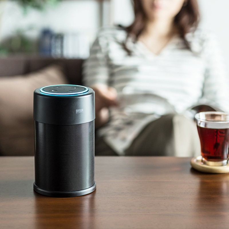 Amazon Echo Dot 最佳拍檔, SANWA SUPPLY 推出全新擴充型喇叭系統 400-SP077 Amazon Echo Dot 最佳拍檔, SANWA SUPPLY 推出全新擴充型喇叭系統 400-SP077