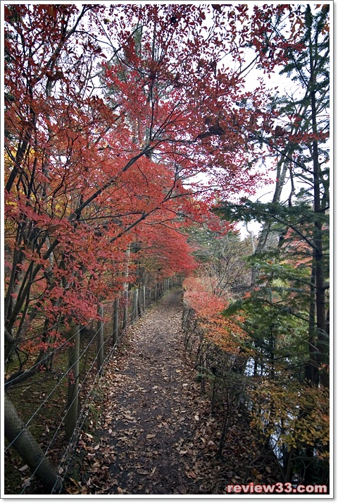 Kusatsu Onsen - 草津溫泉